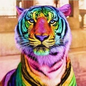 Meet your Posher, Delilah